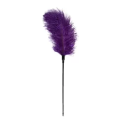 Easytoys Fetish paarse veren kietelaar van 54 cm