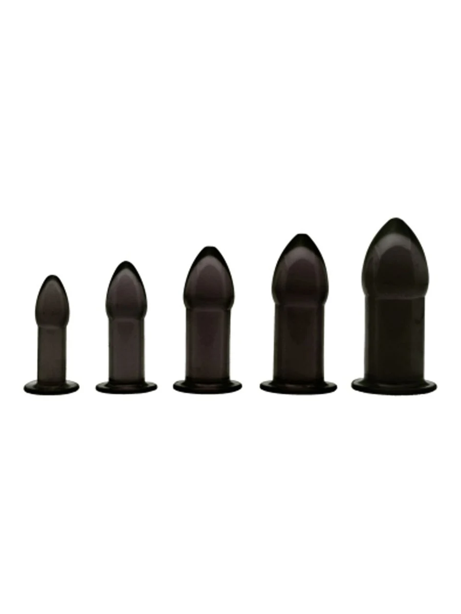 Master Series anaal trainer set zwart met 5 buttplugs in verschillende groottes